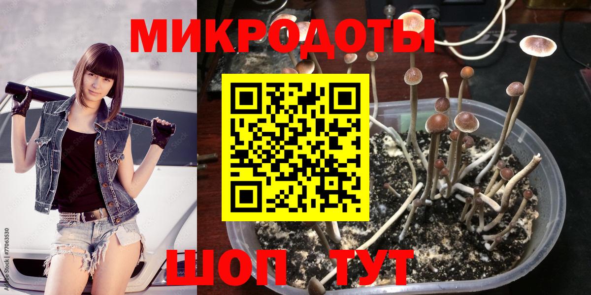 Галлюциногенные грибы MAGIC MUSHROOMS  Галлюциногенные грибы ЛСД  Вход с VPN  Тосно 